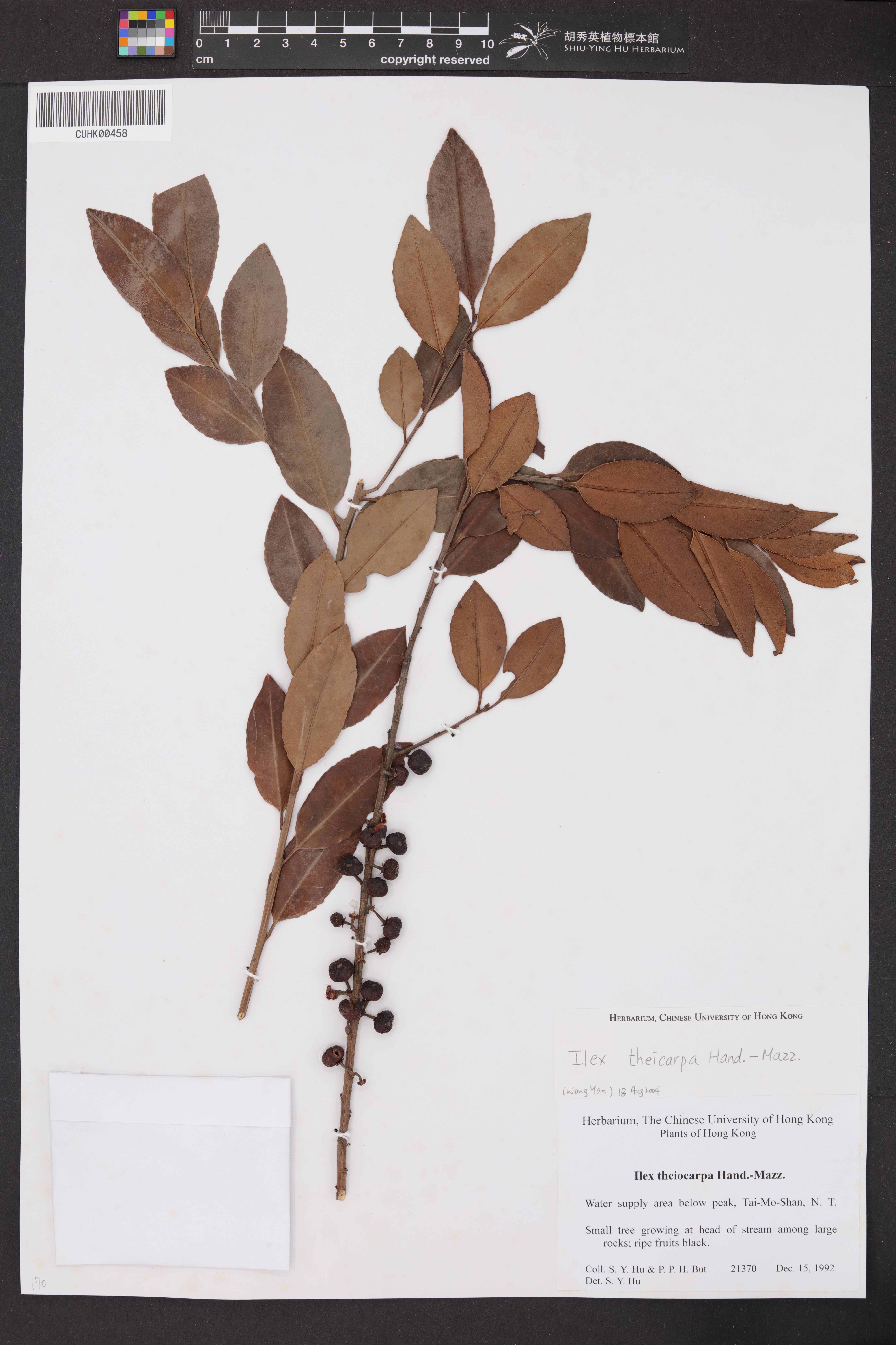 CUHK00458 – Shiu Ying Hu Herbarium Collections